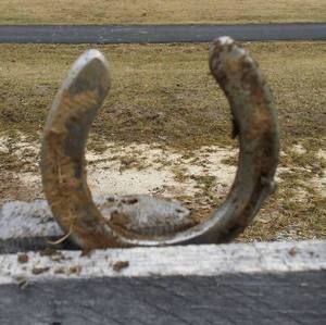 Meet your Posher, Steve